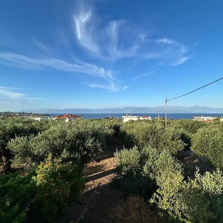 Lejlighed The Olive Deck Sky