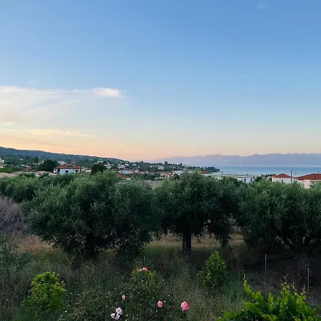 The Olive Deck Sky Lejlighed